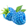 Blue Raspberry