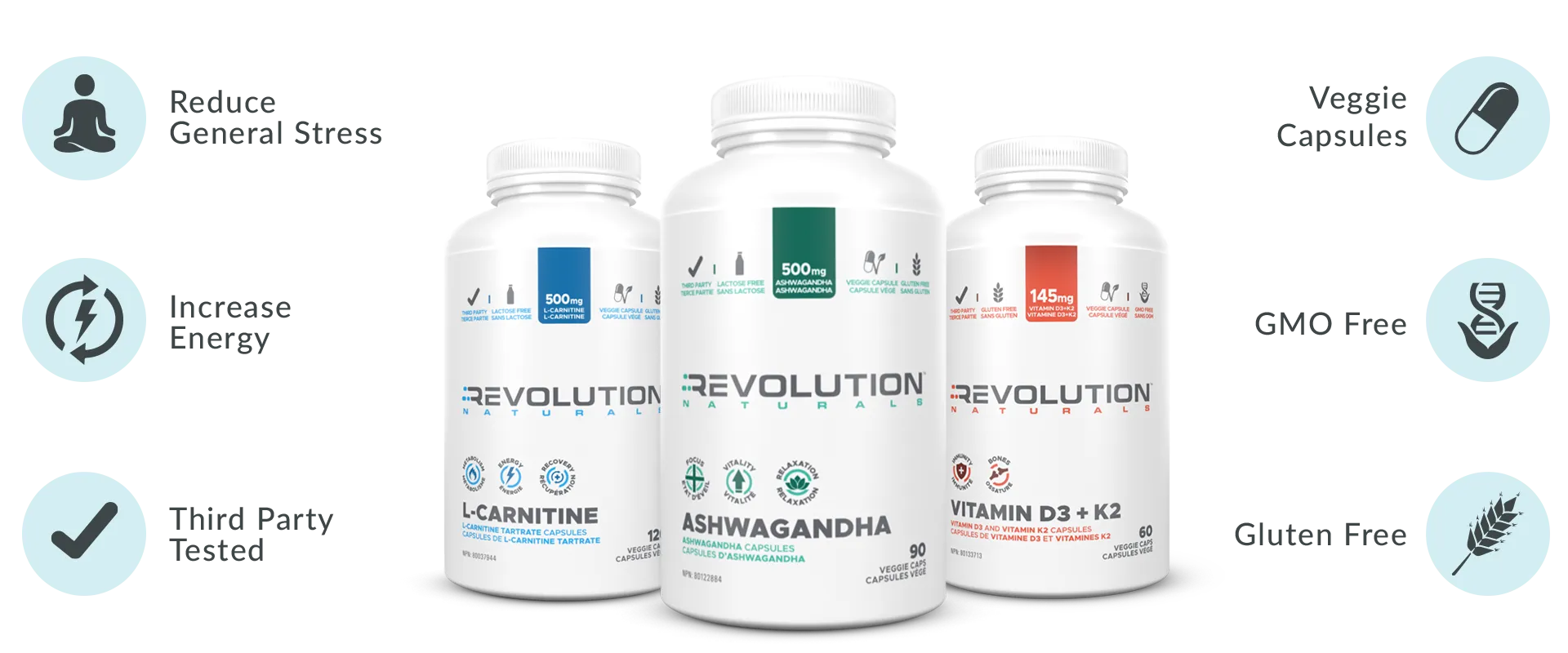 D_PP_EN_CAN_Ashwa_img-1