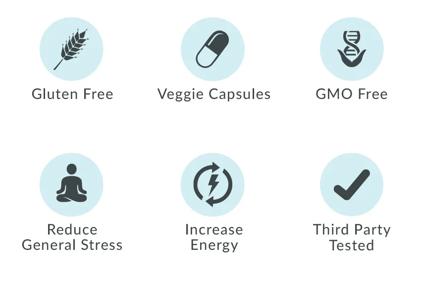 M_PP_EN_CAN_Ashwa_img-1.2