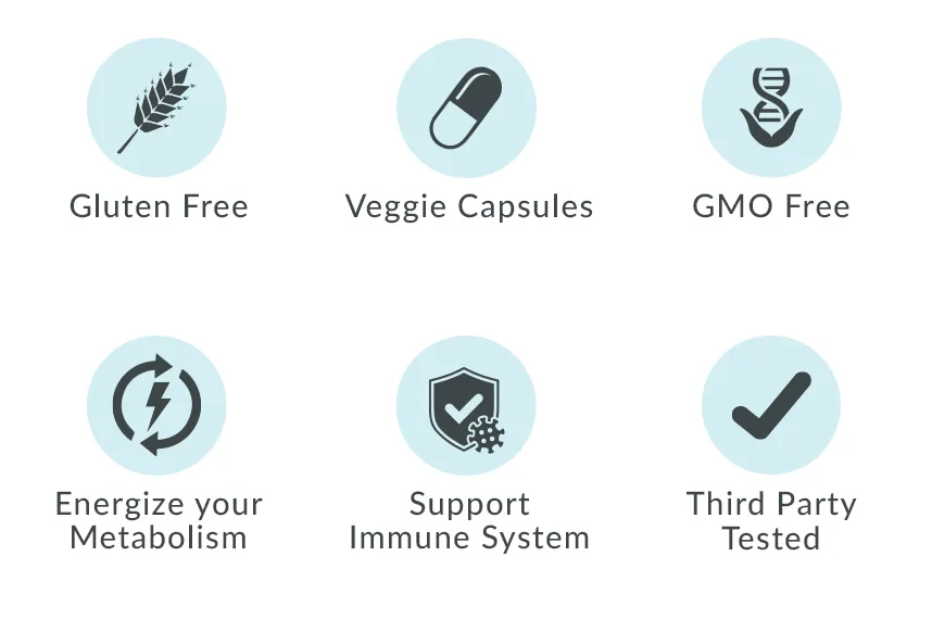 M_PP_EN_CAN_Zinc_img-1.2