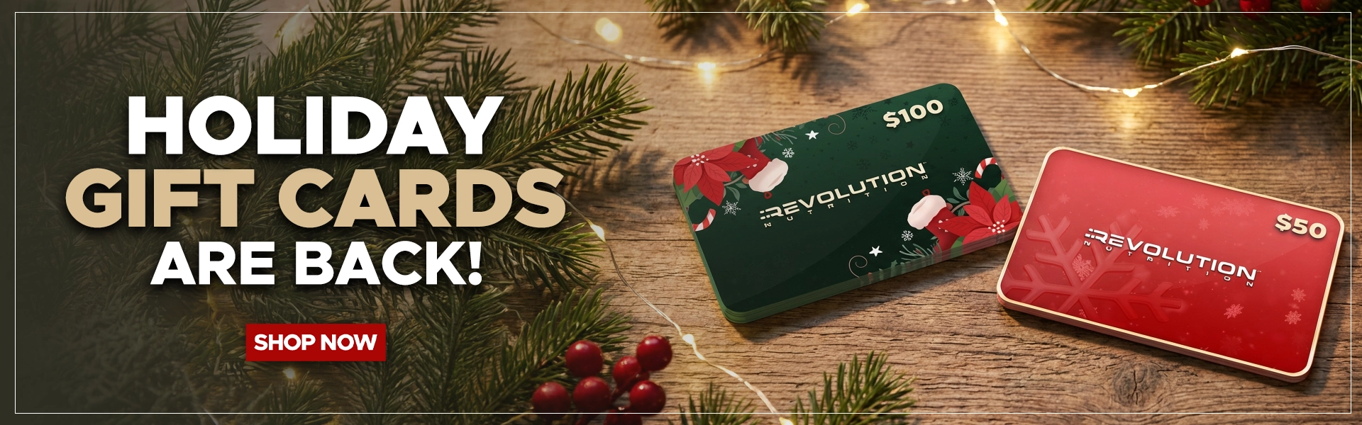 D_Carousel_Banner2 copy