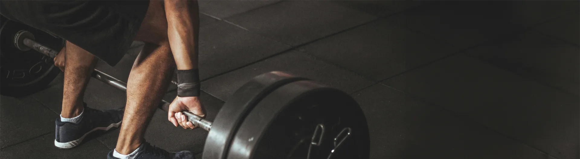 D_Spinosa_BottomBanner_2025