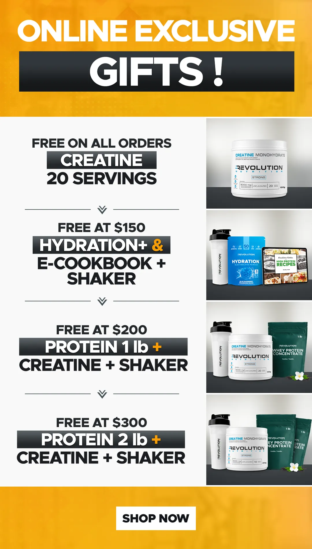 get free gift on tier from all orders up to 300$ with cyber monday