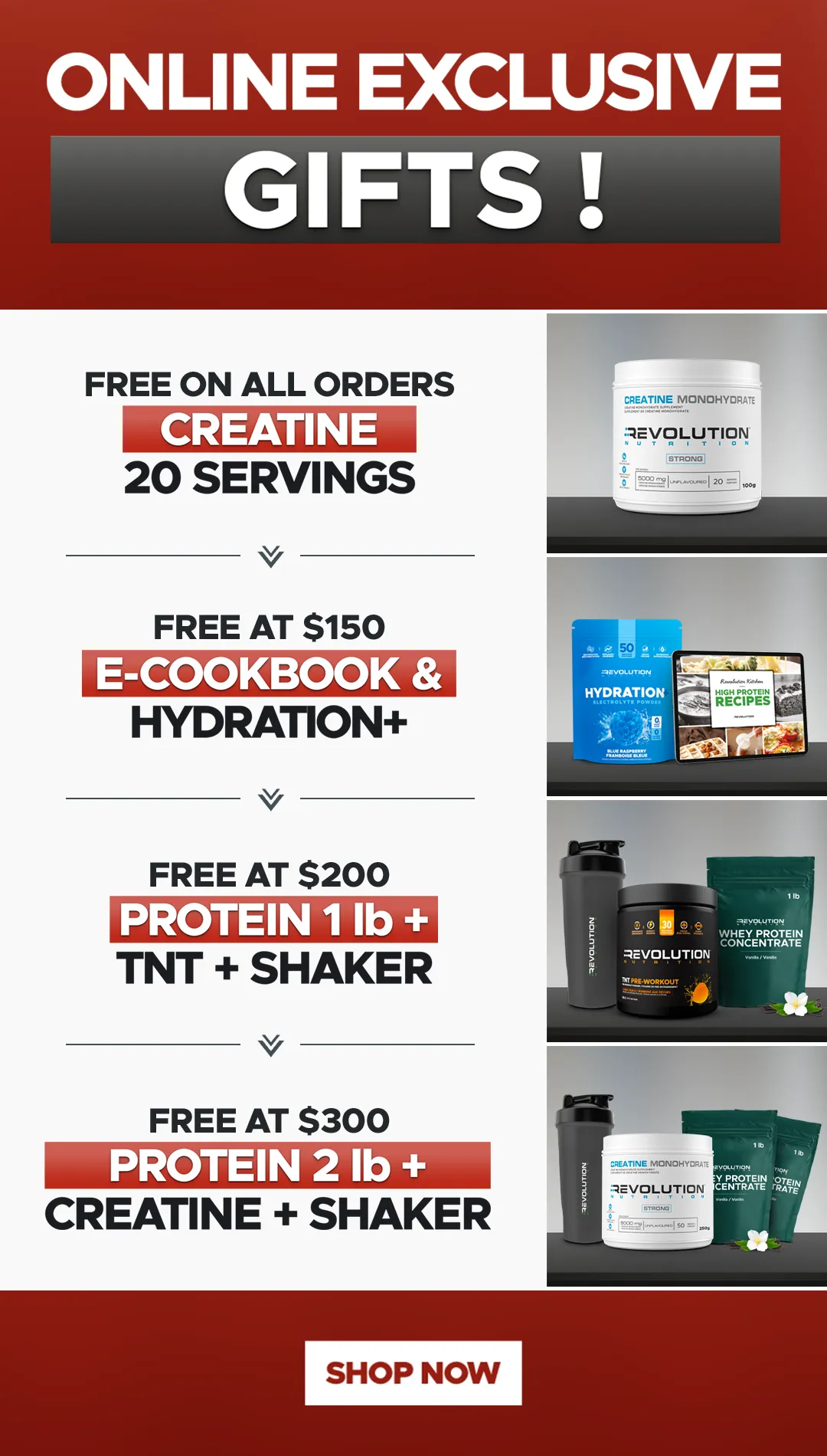 get free gift on tier from all orders up to 300$ with cyber monday