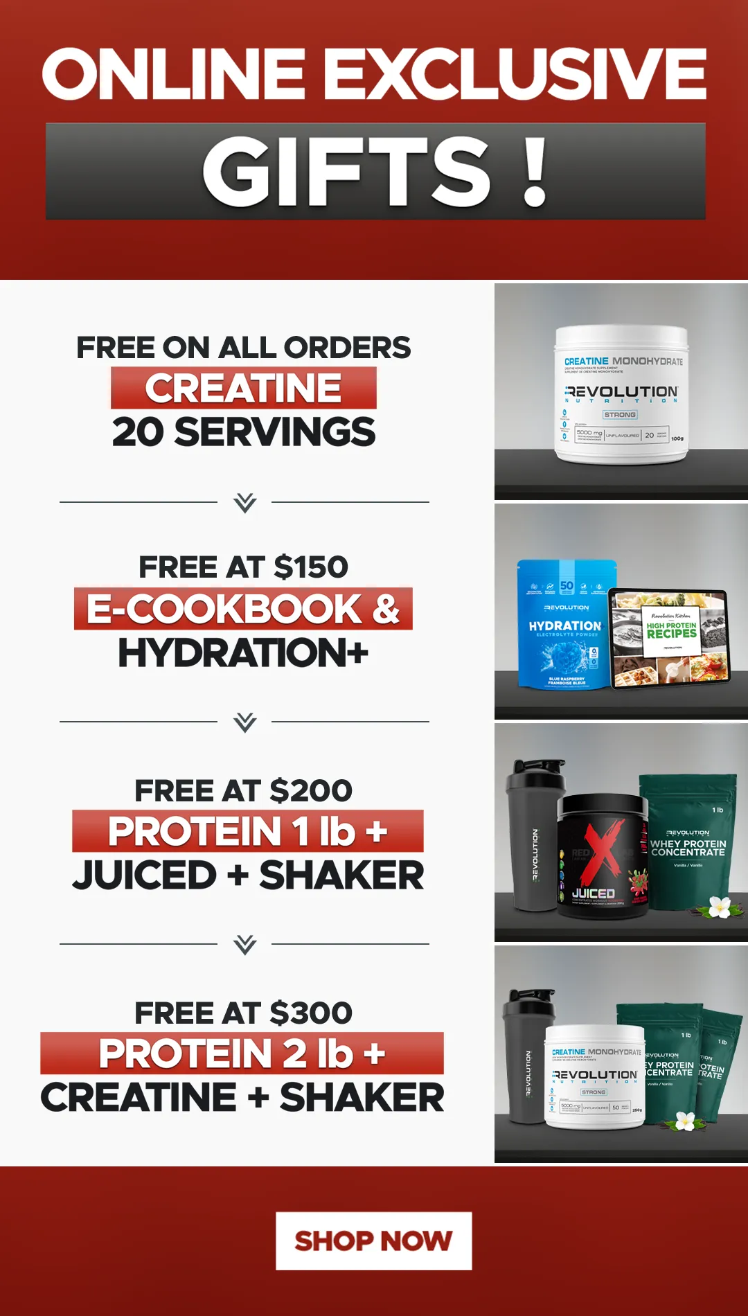 get free gift on tier from all orders up to 300$ with cyber monday